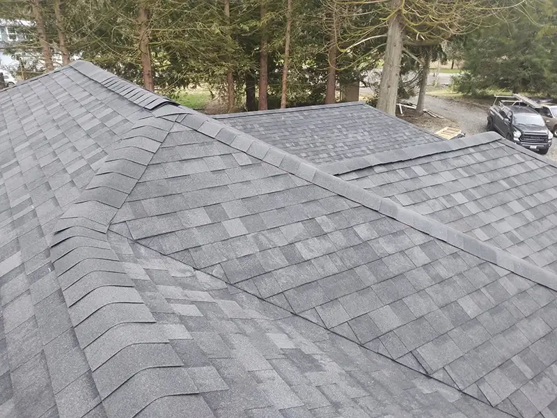 New roof shingles in Rochester